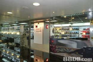 全方位攝影服務指南 從婚紗到家庭，捕捉每個珍貴瞬間